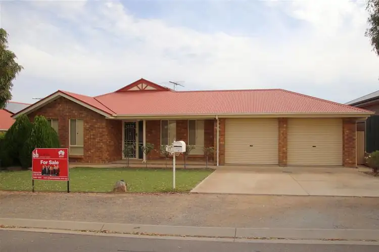 17 Paddlesteamer Way, Mannum SA 5238