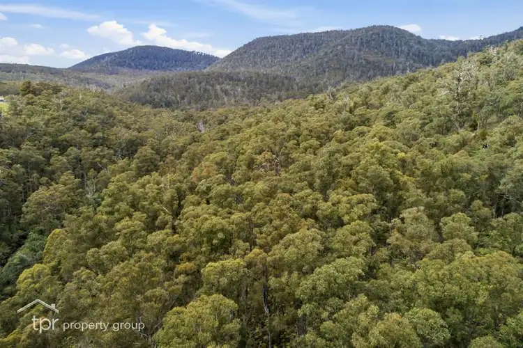 Fifth view of Homely land listing, Lot 1 Pelverata Road, Pelverata TAS 7150