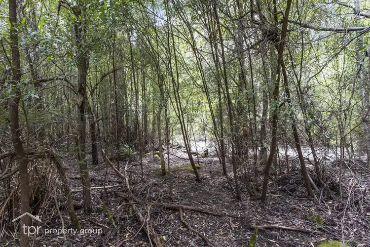 Sixth view of Homely land listing, Lot 1 Pelverata Road, Pelverata TAS 7150
