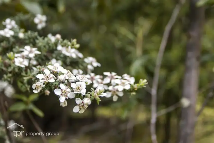 Seventh view of Homely land listing, Lot 1 Pelverata Road, Pelverata TAS 7150