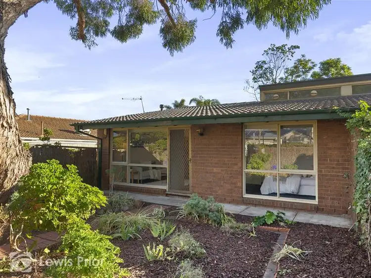Main view of Homely unit listing, 1/169 Brighton Road, Somerton Park SA 5044