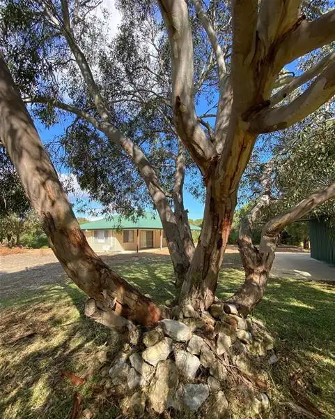 Main view of Homely house listing, 122 Homestead Loop, Jurien Bay WA 6516