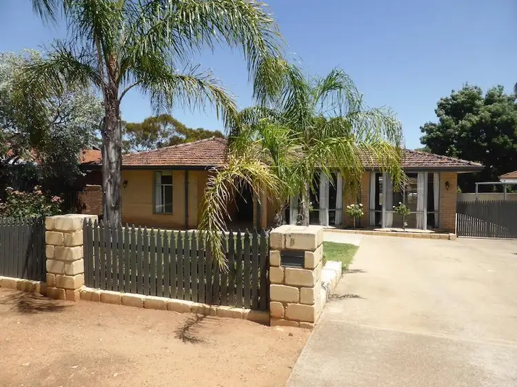 8 Cody Street, Northam WA 6401