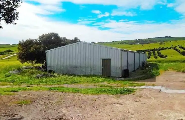 Third view of Homely house listing, 26 McLeod Road, Cape Jervis SA 5204