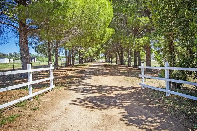 23 Cummins Drive, San Isidore NSW 2650