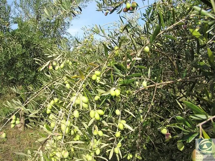 Sixth view of Homely land listing, Lot 2 Whorouly Road, Whorouly VIC 3735