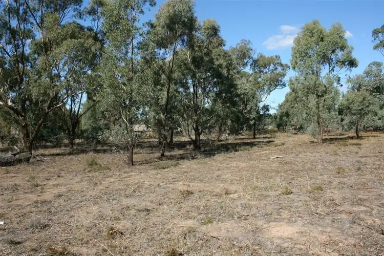 Third view of Homely rural property listing, 95 Martins Lane, Illawarra VIC 3381