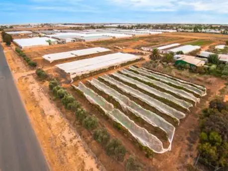 Second view of Homely rural property listing, 122 Calvengrove Road, Waterloo Corner SA 5110