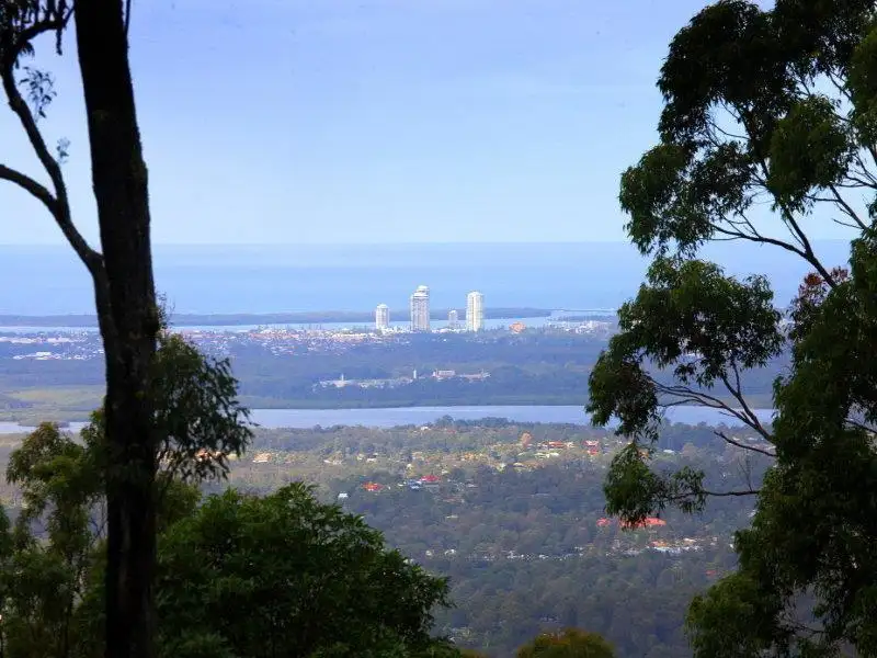 Main view of Homely house listing, 244 Wongawallan Drive, Wongawallan QLD 4210