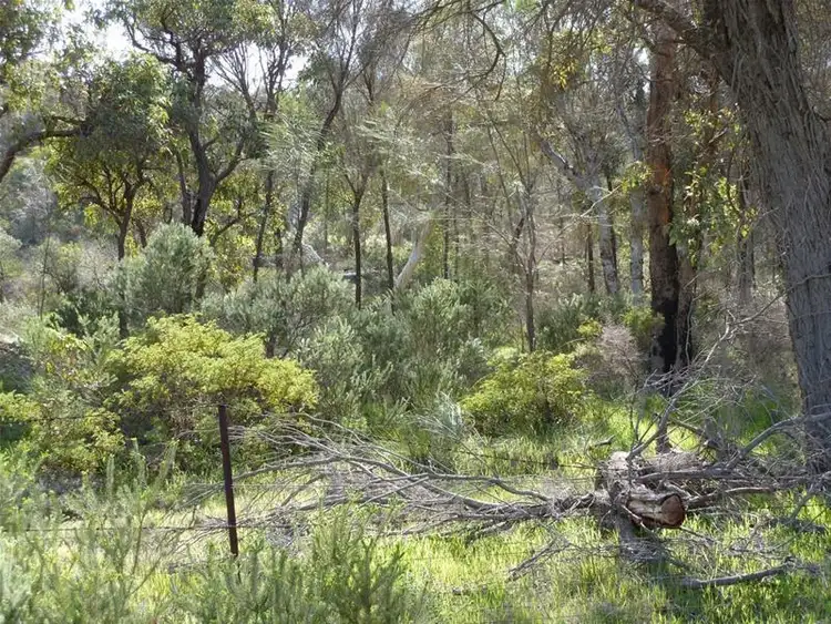 Seventh view of Homely land listing, 187 Mitchell Crescent, Boddington WA 6390