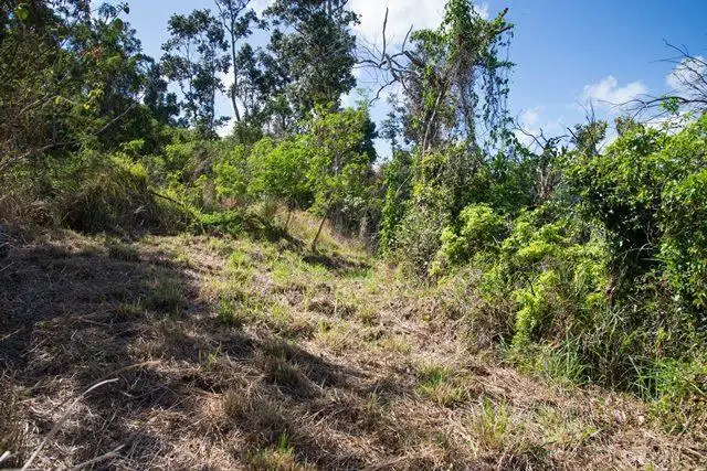 Fourth view of Homely land listing, 32 Beth Court, Cannonvale QLD 4802