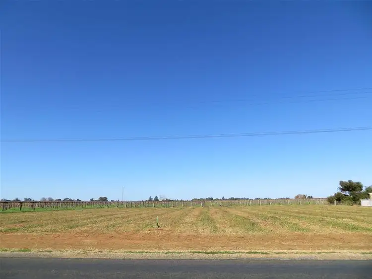 Second view of Homely house listing, LOT 1 Karadoc Avenue, Irymple VIC 3498