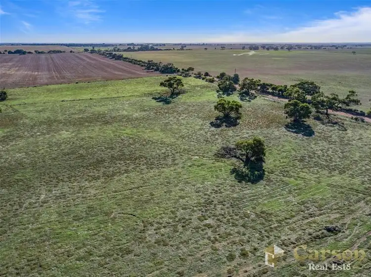 Fourth view of Homely rural property listing, 20 Pederick Road, Lewiston SA 5501