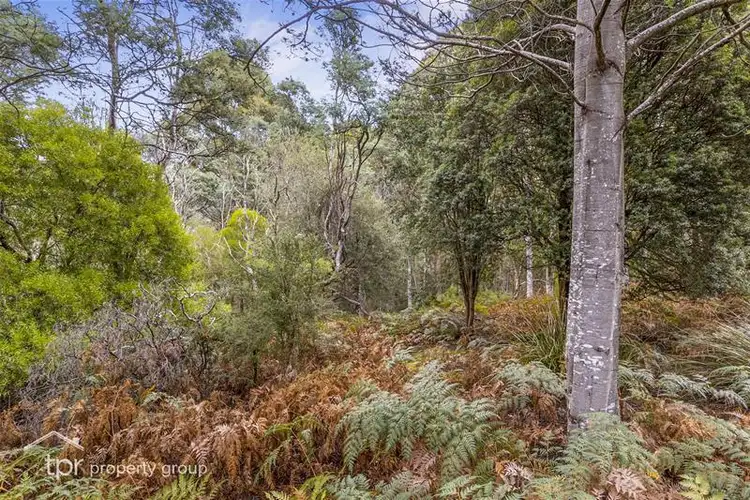 Seventh view of Homely land listing, Lot 1/165 Carters Road, Port Huon TAS 7116