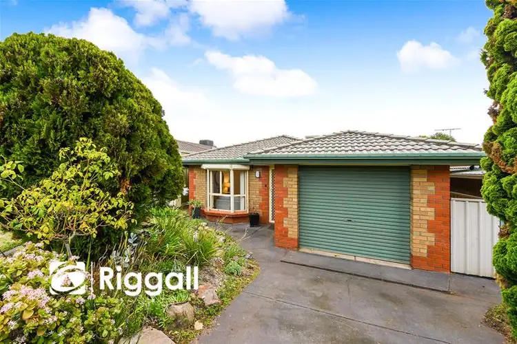 49 Brunswick Terrace, Wynn Vale SA 5127