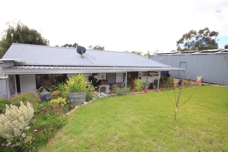 Main view of Homely house listing, 11 Khancoban Place, Younghusband SA 5238
