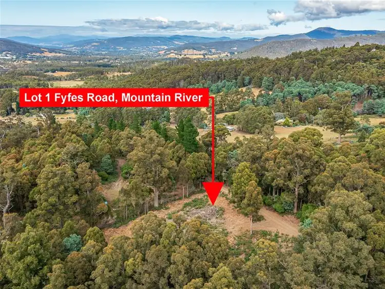 Lot 1 Fyfes Road, Mountain River TAS 7109