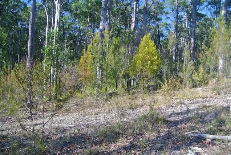 Fourth view of Homely land listing, 15 Elandra Place, Malua Bay NSW 2536