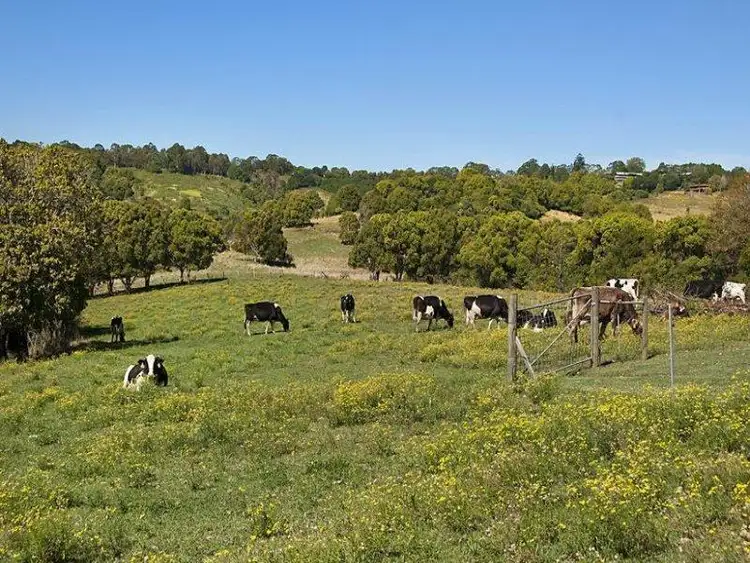 Third view of Homely house listing, 129 Mckinnons Road, Mcleans Ridges NSW 2480