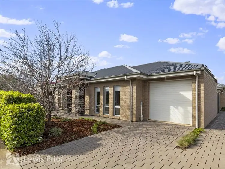 29 West Street, Ascot Park SA 5043