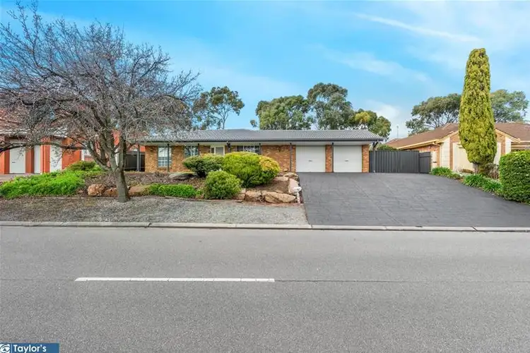 Second view of Homely house listing, 19 Horama Close, Wynn Vale SA 5127