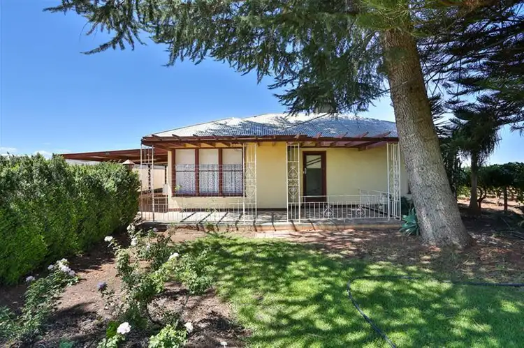 Main view of Homely house listing, 373 Morpung Avenue, Irymple VIC 3498