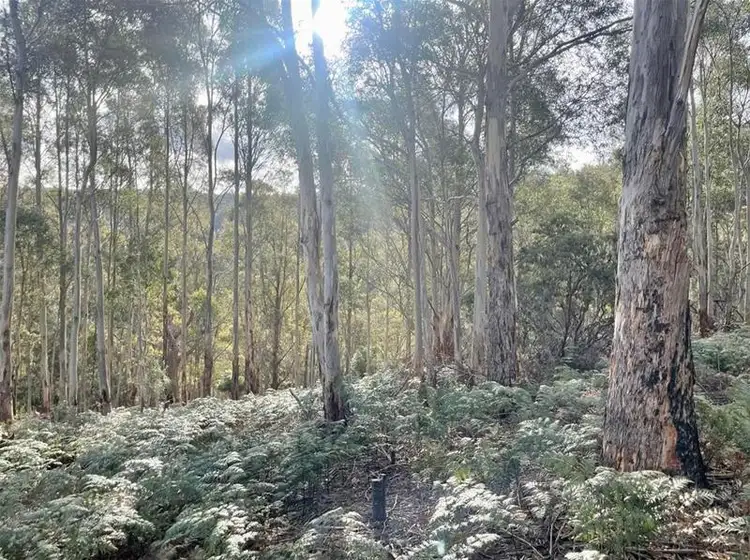Second view of Homely land listing, 83 Crouchs Hill Road, Lucaston TAS 7109