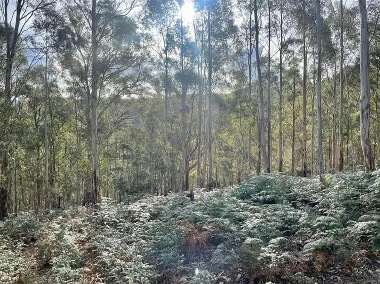 Fourth view of Homely land listing, 83 Crouchs Hill Road, Lucaston TAS 7109