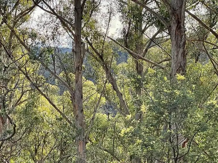 Sixth view of Homely land listing, 83 Crouchs Hill Road, Lucaston TAS 7109