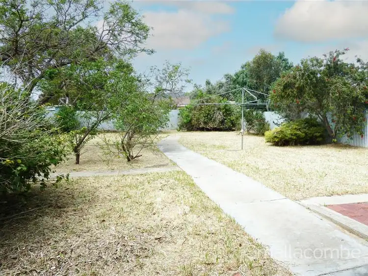 Third view of Homely house listing, 61 Dorene Street, St Marys SA 5042