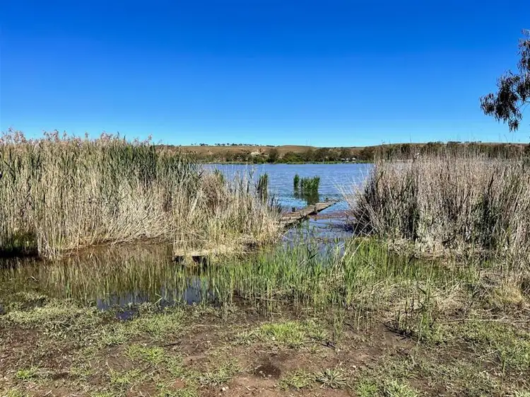 Fourth view of Homely house listing, 365 Purnong Road, Mannum SA 5238