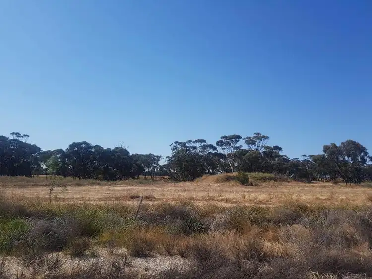 LOT 165, 165 (L) WOOLAWA Street, Moora WA 6510