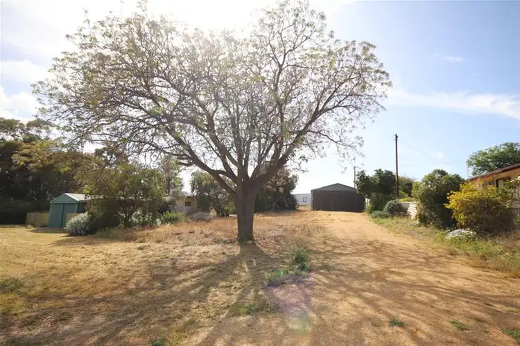 Lot 114 Hunter Road, Nildottie SA 5238
