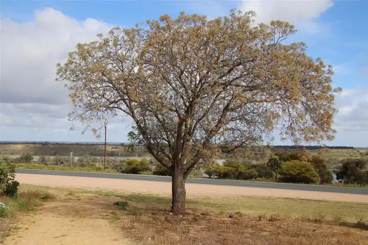 Fifth view of Homely land listing, Lot 114 Hunter Road, Nildottie SA 5238