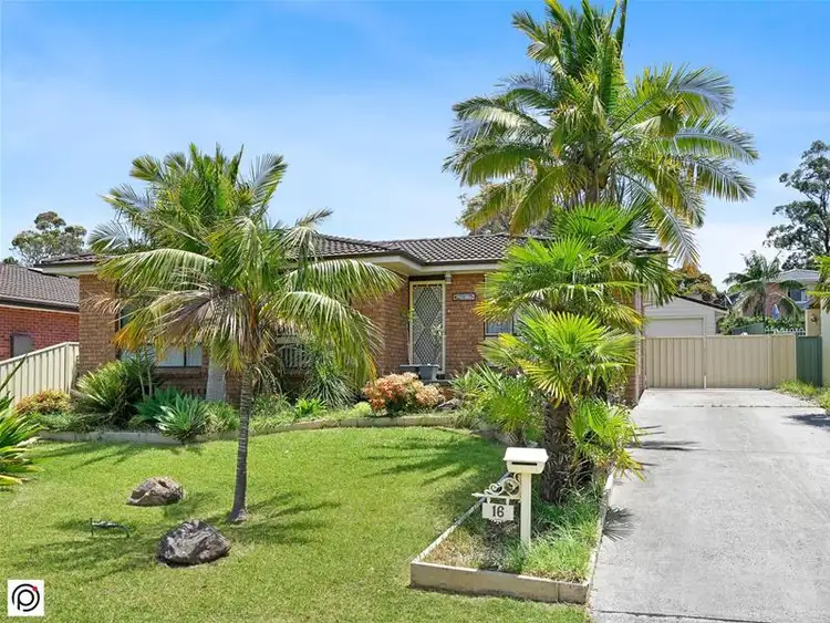 16 Fromholz Cr, Avondale NSW 2530