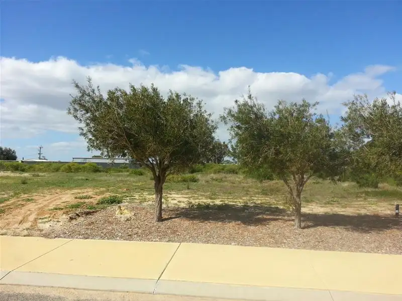 Main view of Homely land listing, 717 Thomas Street, Leeman WA 6514