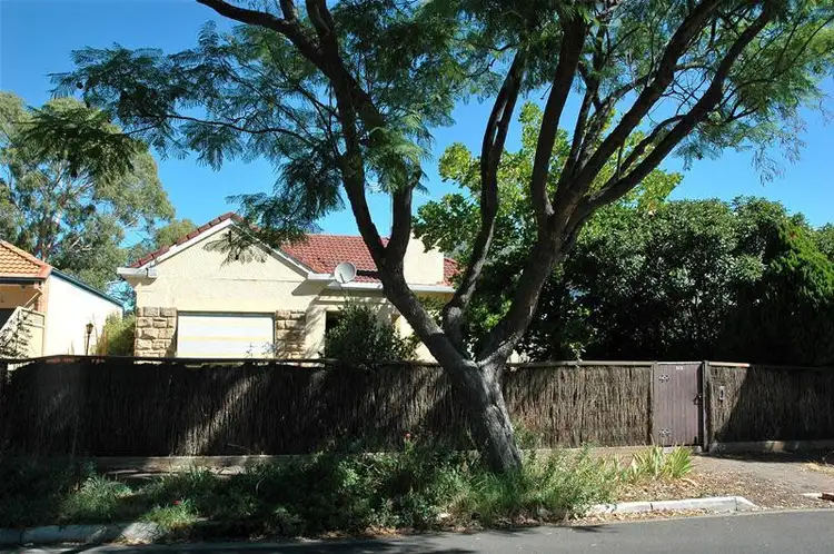 262 Beulah Road, Beulah Park SA 5067