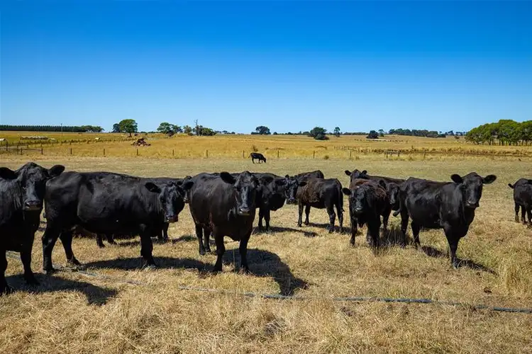 Fourth view of Homely house listing, 1205 Hopkins Highway, Purnim West VIC 3278