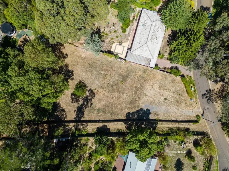Main view of Homely house listing, 3 Blackthorn Avenue, Hawthorndene SA 5051