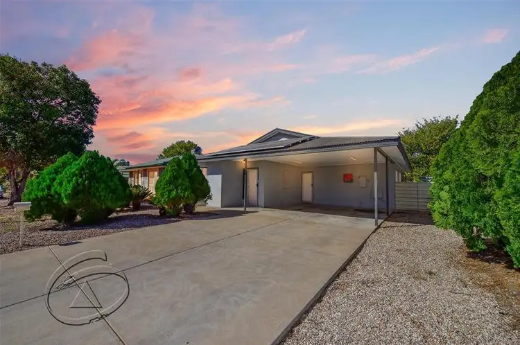 Main view of Homely house listing, 41 Kempeana Crescent, Araluen NT 870