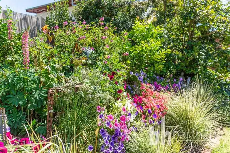 Fifth view of Homely house listing, 16 Kumnick Street, Lobethal SA 5241