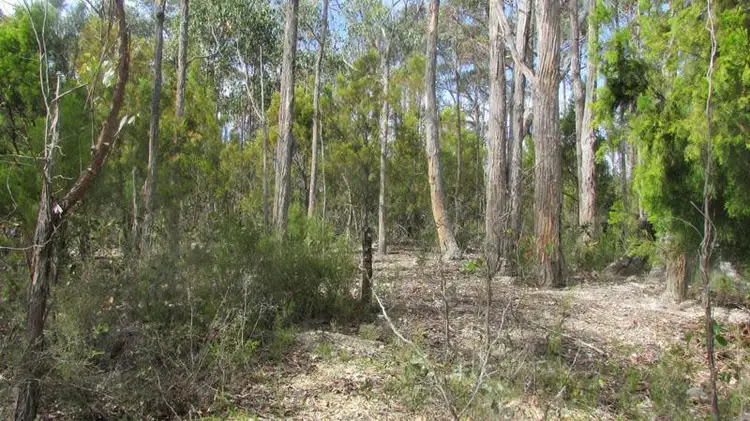 Second view of Homely land listing, 33894/1 Judds Creek Road, Judbury TAS 7109