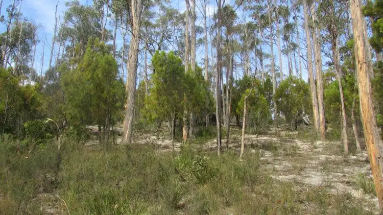 Third view of Homely land listing, 33894/1 Judds Creek Road, Judbury TAS 7109