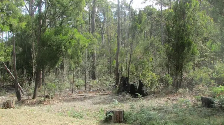 Fourth view of Homely land listing, 33894/1 Judds Creek Road, Judbury TAS 7109