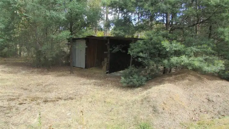 Seventh view of Homely land listing, 33894/1 Judds Creek Road, Judbury TAS 7109