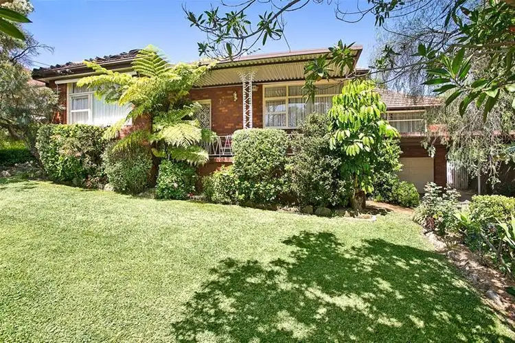 77 Potts Street, Ryde NSW 2112