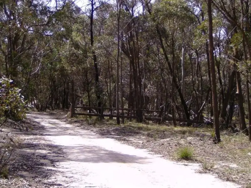 Main view of Homely rural property listing, 804 Mt Vincent Road, Ilford NSW 2850