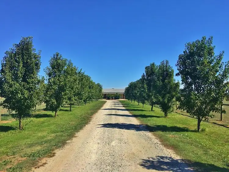 Second view of Homely rural property listing, 68 Bolitho Road, Kyabram VIC 3620