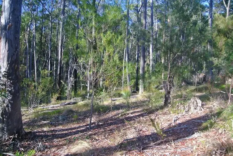 Sixth view of Homely land listing, 15 Elandra Place, Malua Bay NSW 2536