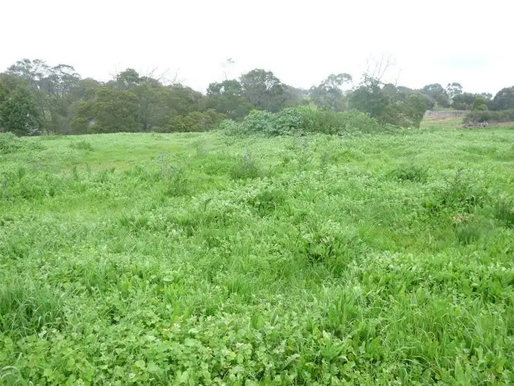 Seventh view of Homely land listing, 0 Monroe Street, Branxholme VIC 3302
